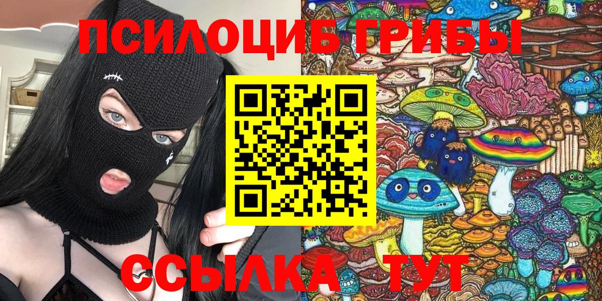 Псилоцибиновые грибы Psilocybe Грязи